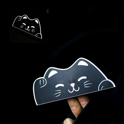 MANEKI CAT - FLASH