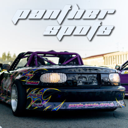 panther - spots on the car - all colors
