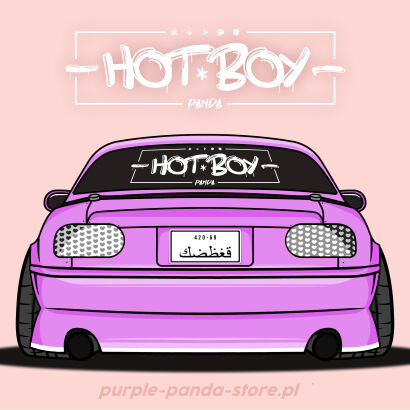 - HOT BOY - big banner