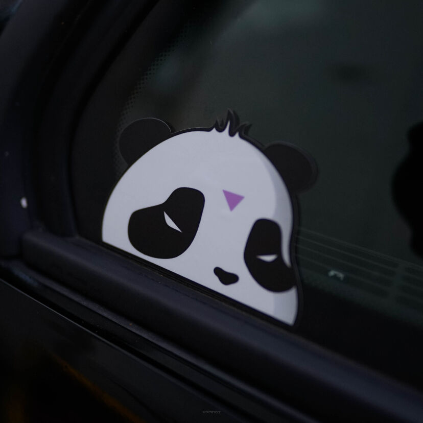 PANDA HEAD