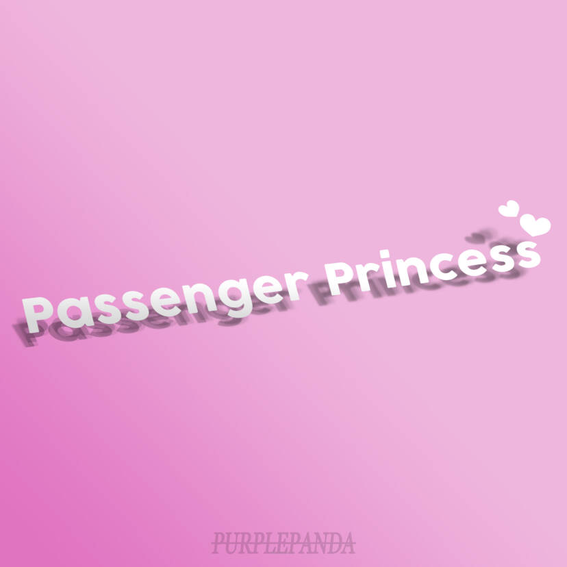 PASSENGER PRINCESS ❤