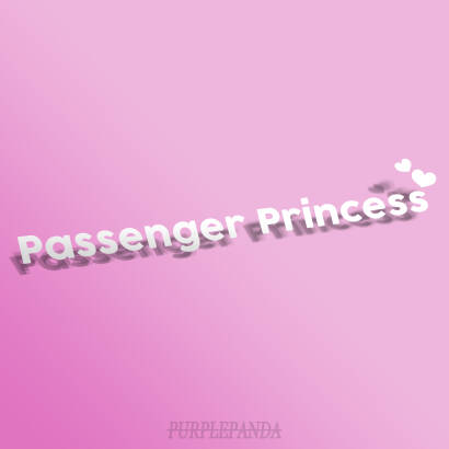 PASSENGER PRINCESS ❤